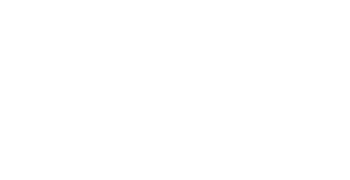 Analiz Logo